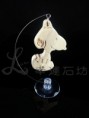 /products/%e5%8f%b2%e5%8a%aa%e6%af%94-%e6%90%96%e6%93%ba%e5%90%8a%e9%a3%be/